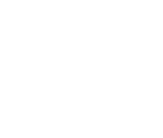 Model Patch